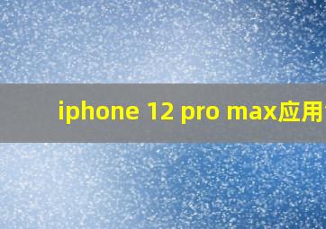 iphone 12 pro max应用锁